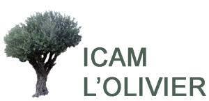 ICAM l'Olivier Alaabi reseller toys and games arabic learning material